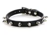 silver rivet black