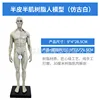 30CM Resin Figure - Realistic White - Male