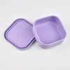 lilac purple