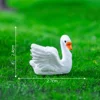 1 # Cigno