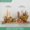 Ensemble de roseaux d'automne 6 pcs-balles de foin-paille