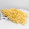 Yellow 4