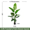 180 cm verde