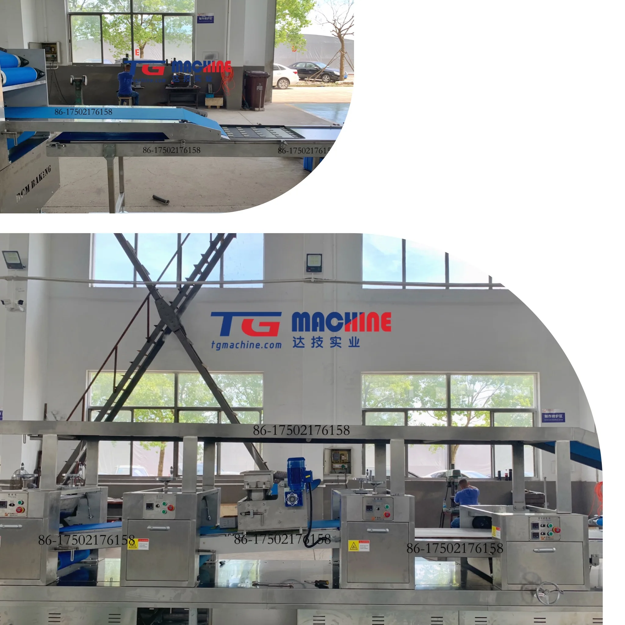 Лидер продаж, линия по производству печенья TG BCM для производства печенья