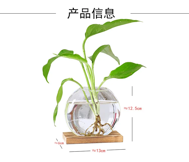 Plant Propagation Station Terarrium Glass air Plant Geometric Terrarium