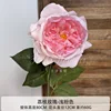 Lychee Rose Light Pink