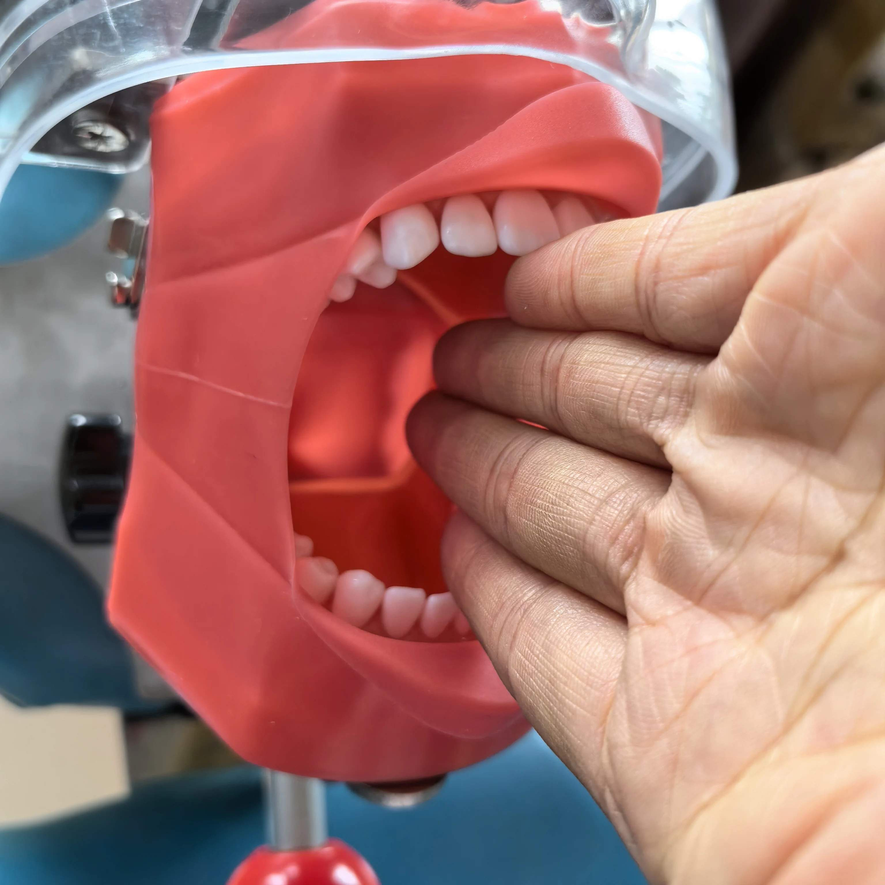Dental Phantom Head Pre-clinical Training Simulator System