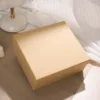 Kraft paper gift box (excluding accessories)