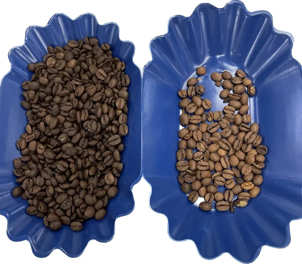 WENYAO  AI Coffee Bean Processing Plant Green Coffee Bean Cleaning Machine Color Sorting Machine for Coffee Bean