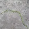 Verde claro (una sola tira)