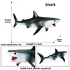 Requin-4041