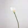 Blanc - 63CM