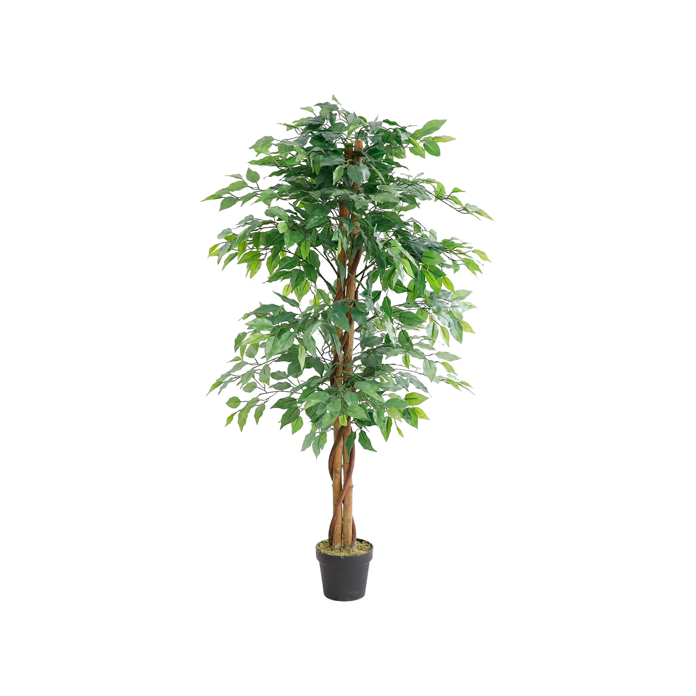 Ficus Bonsai Artificial Imitation Silk Tree Replica Synthetic Plant Ficus Tree Artificial Buy Ficus Tree Artificial For Artificial Imitation Silk Tree Replica Synthetic Plant Ficus Bonsai Artificial Imitation Silk Tree Replica Synthetic Plant