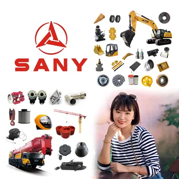 Wholesale Price SANY Excavator Parts Manufacturer SANY Parts Spare Parts for  Excavator