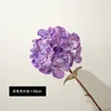 Morado oscuro