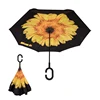 yellow chrysanthemum