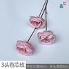 3-headed bract rose YB medium pink