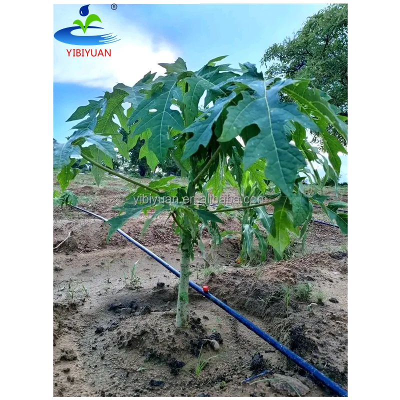 Adjustable Dripper Irrigation System Complete Irrigation Kit for 1 Hectare of Papaya Trees