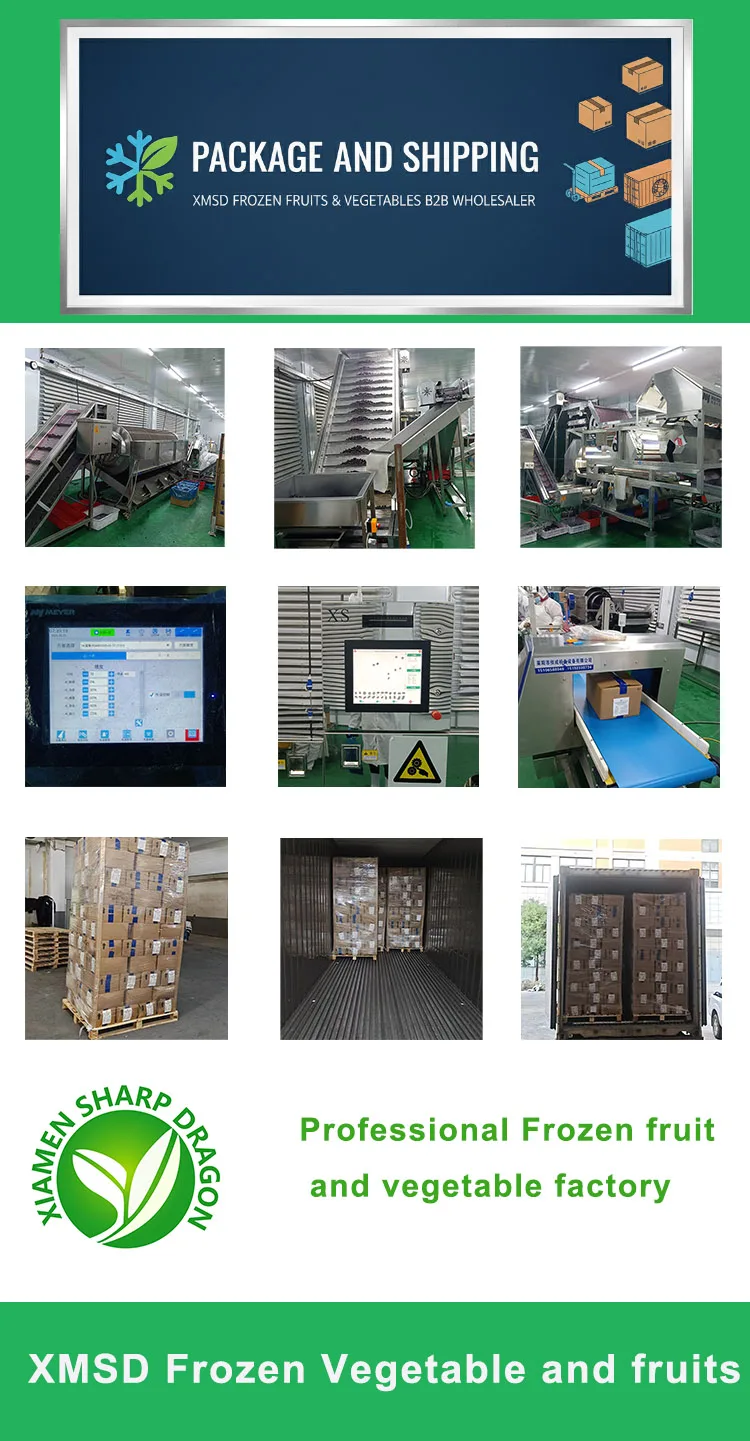 IQF frozen porcini mushroom packing and product detail IQF frozen porcini mushroom packing and product detail