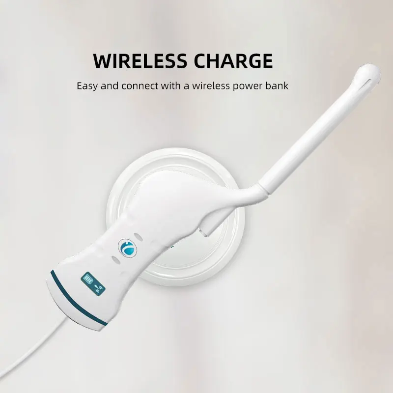 1年間保証付き ハンドヘルドカラードップラー超音波スキャナー