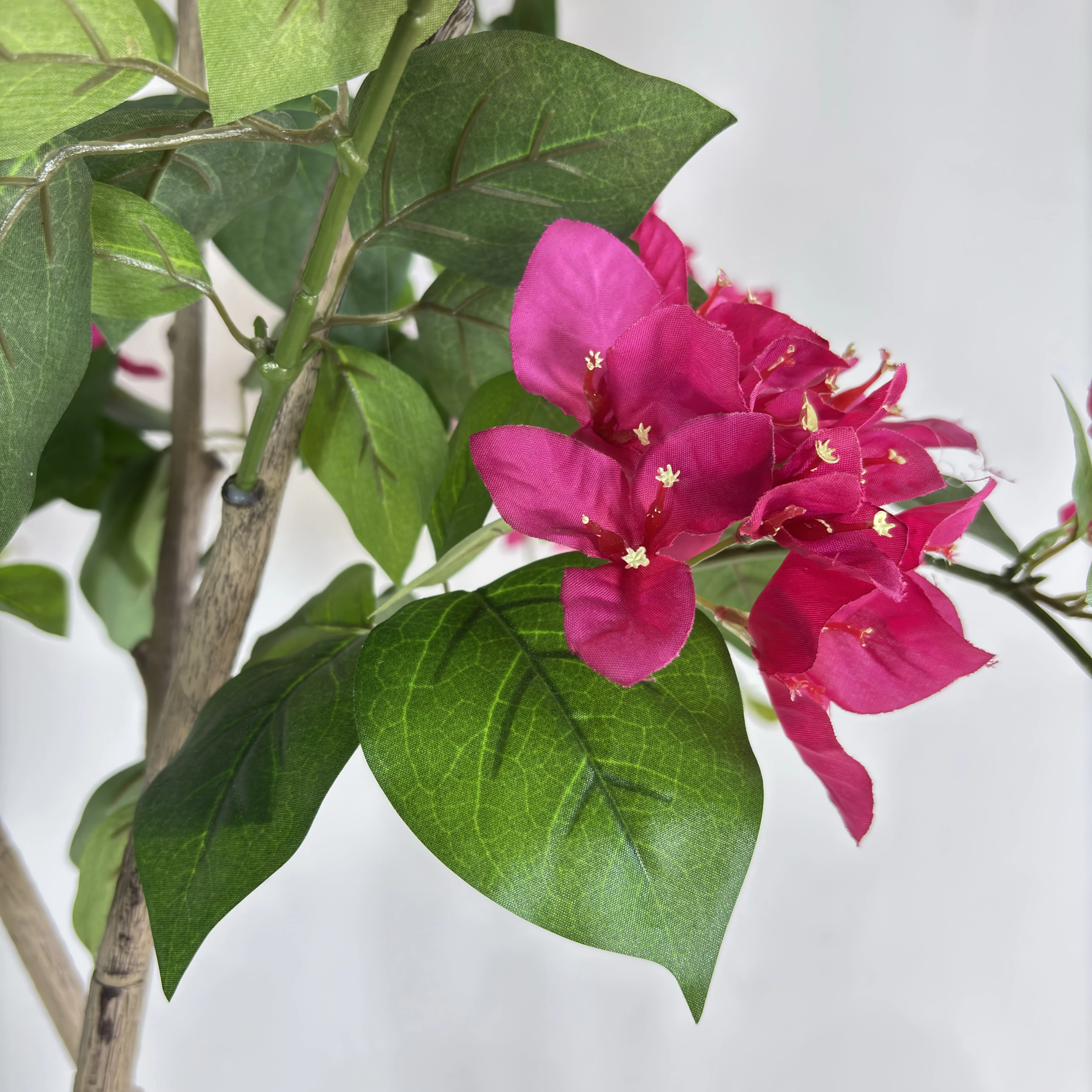 细节图2