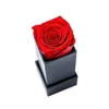 Rojo-1 Rsoe