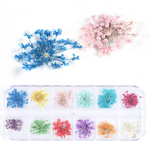 Bin 12 Grids Natural Floral Dried Flower Nail Art Stickers Dry Flowers
