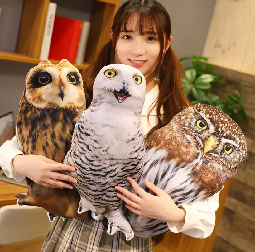 Update 103+ anime owl best - 3tdesign.edu.vn