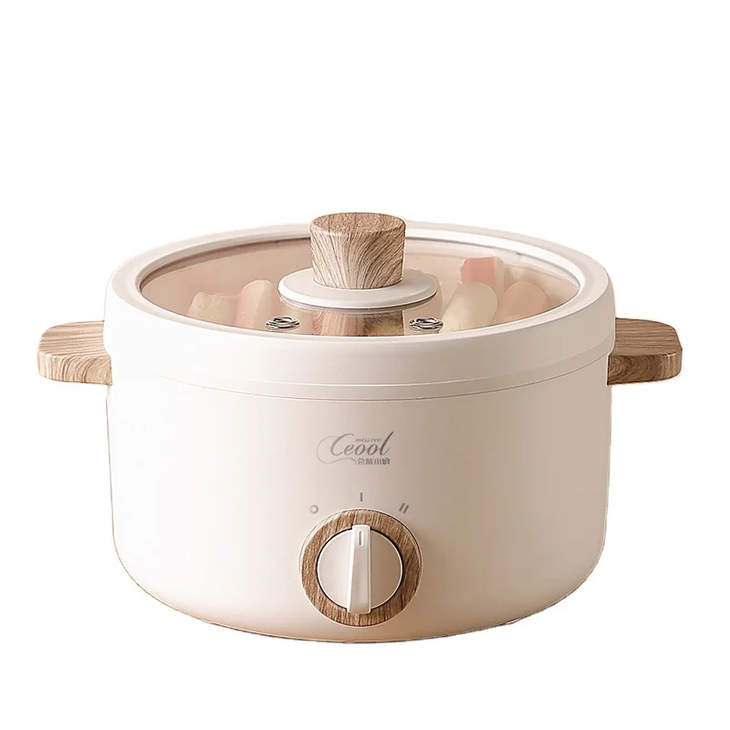 personal electric hot pot cooker