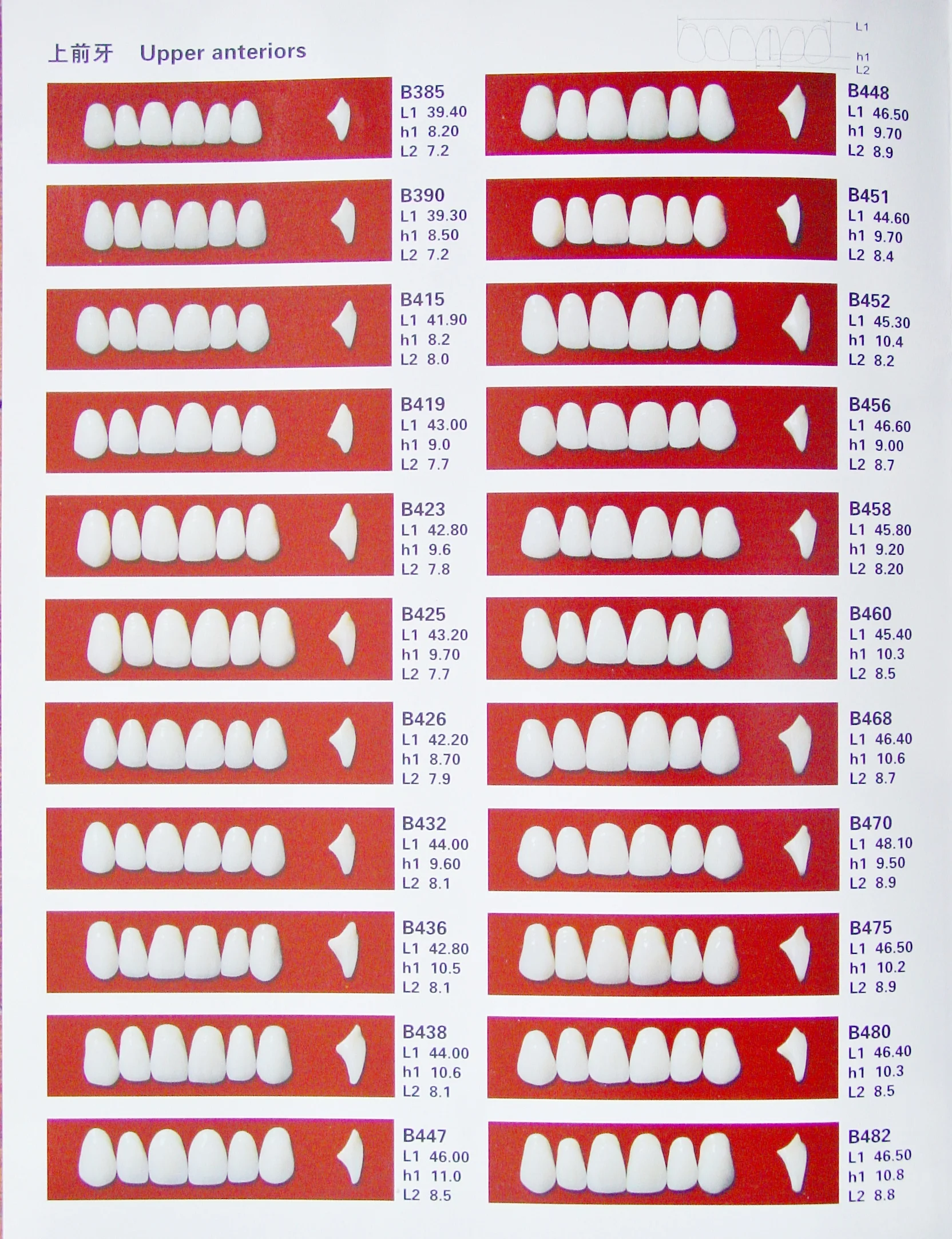 Dental  3- ply Teeth False Teeth Acrylic Resin Teeth supplier