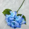 Bleu roi