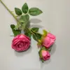 #3 Rose