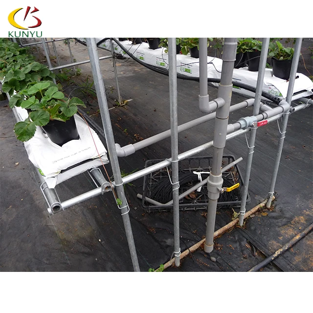 Foshan Kunyu High Efficient Hydroponic Systems Vertical  Greenhouses for Strawberries