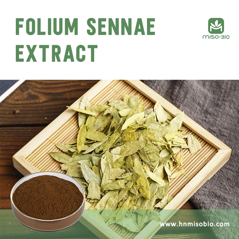 Senna Leaf Extract Sennoside Powder Senna Leaf Tea - Buy Senna Leaf ...