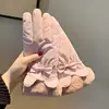 Rosa 2