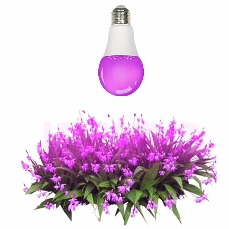 Full Spectrum LED Grow Lights - Efficient Plant Growth