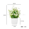 Dandelion potted plants