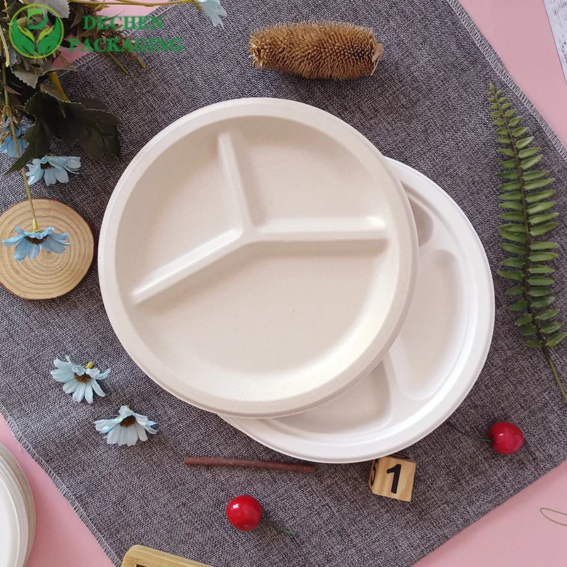Biodegradable 10-Inch Bagasse Plates - Disposable Eco-Friendly