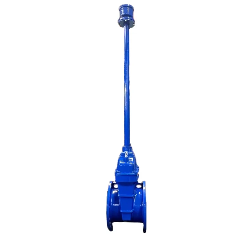 Extension Spindle Sluice Directly Buried Elastic Seat Sealing Gate Valve
