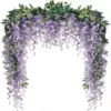 Viola-5 pezzi