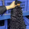 k tip burmese curly