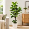 Artificial Fiddle Leaf Fig Tre