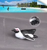 114 pingüino africano