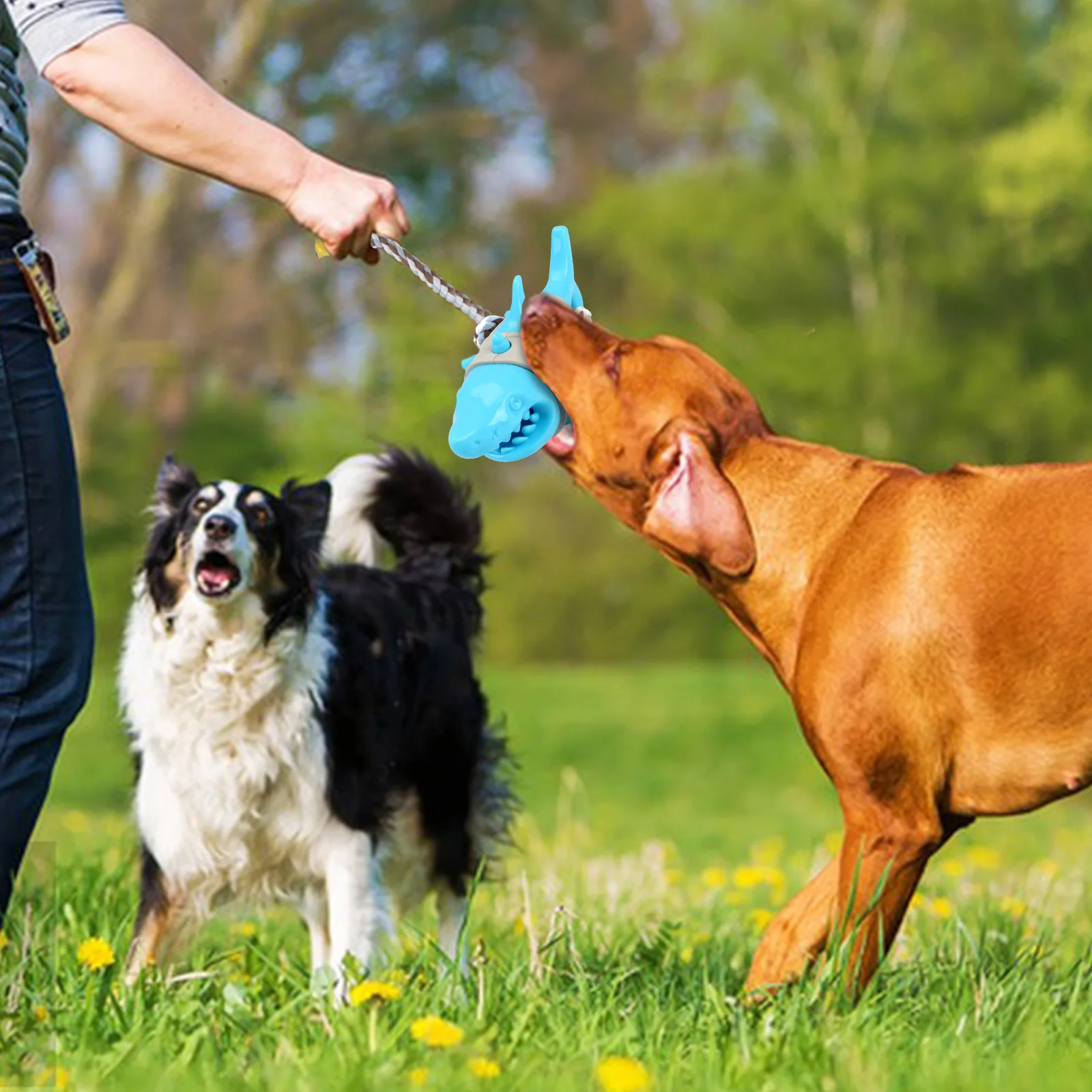 Interactive Squeaky Shark Simulation Dog Toy Durable TPR Material Bite-Resistant Rope Chewing Clean Grinding Stick Pet Dog Toys