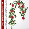 Red French rose vine, 1.8 meters tall, with branches.