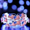 flag  (2m 20 lights battery)