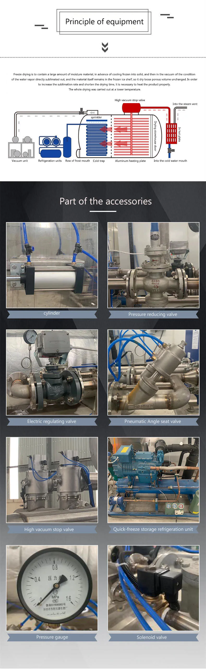 Automatic Industrial Freeze Dryer for Fruits and Vegetables Food Processing Freeze Drying Machine Key Dough Sheeter Included