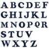 single letter(pls make a note about the letter you need)