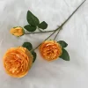 light orange