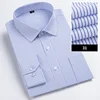 White Blue-1